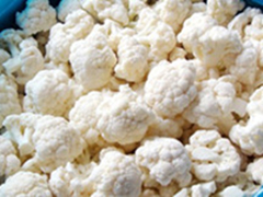 IQF Cauliflower