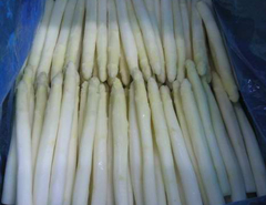 IQF White Asparagus Spears